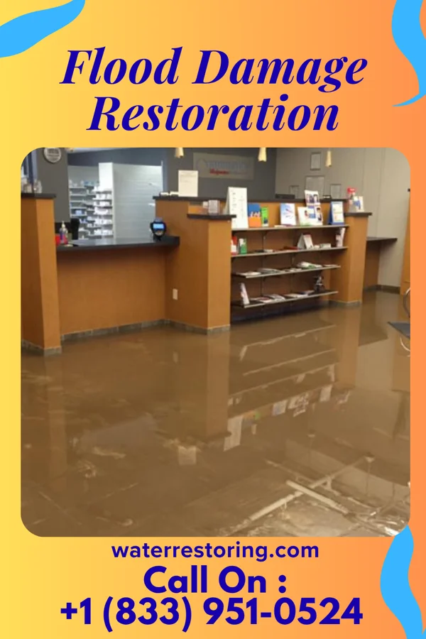 Flood Damage Restoration in Catherine, CO